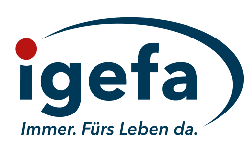 Logo Arndt GmbH & Co. KG (igefa SE)